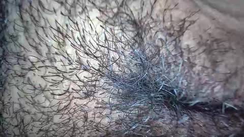 white_sexy_ online show from 11-20-25, 10:15