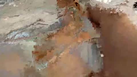 whitelava_4u online show from 11-30-25, 08:18