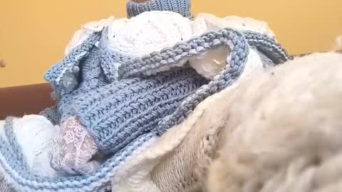 whitesweater online show from 03-23-26, 06:50