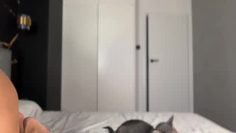 Alice online show from 10-02-25, 04:14