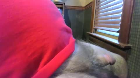 Snapshot of whydog chatting on 01-04-25, 10:24 whydog online show from 01-04-25, 10:24