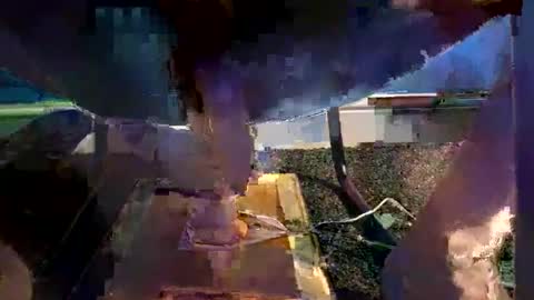 wilba9855 online show from 10-17-25, 02:59