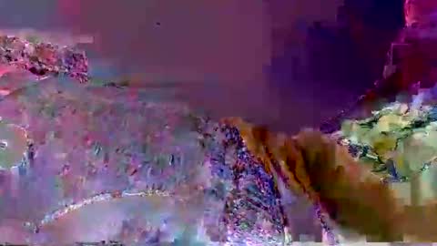 wild lemont online show from 09-29-25, 12:21