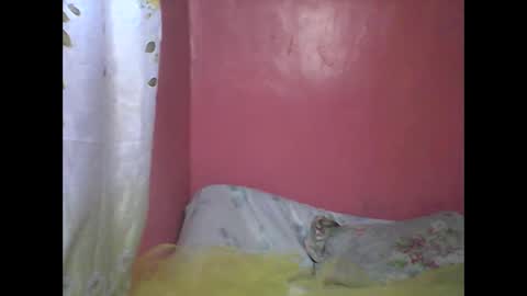 Snapshot of wild_sunflower11 chatting on 12-25-24, 03:40 wild_sunflower11 online show from 12-25-24, 03:40
