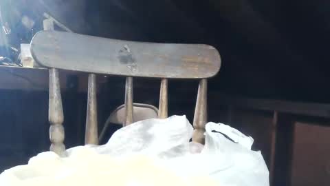 wildman6 online show from 02-08-25, 08:53