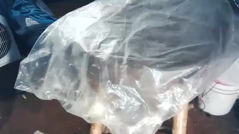 wildman6 online show from 11-02-25, 08:44