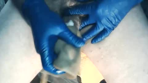 wildman6 online show from 11-07-25, 08:20