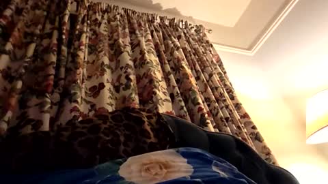 wildwills online show from 06-08-26, 10:21