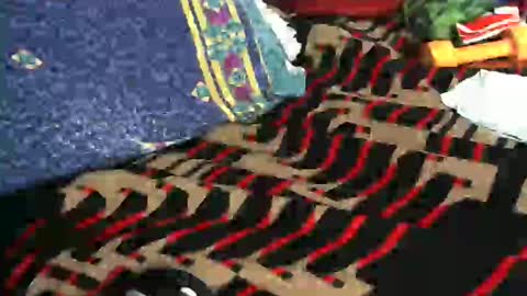 Snapshot of willamyth chatting on 02-18-25, 08:49 Willamyth online show from 02-18-25, 08:49