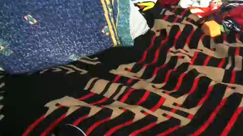 Snapshot of willamyth chatting on 02-19-25, 08:12 Willamyth online show from 02-19-25, 08:12