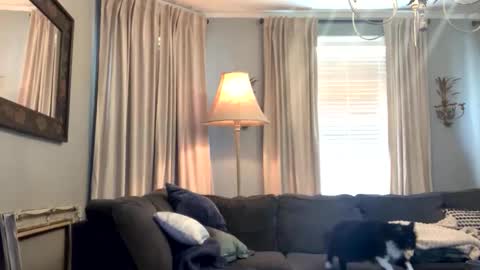 willbeatit online show from 04-18-26, 05:28