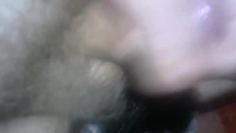 willcam22 online show from 04-15-26, 03:08