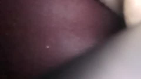 willhelm_the_pleaser online show from 07-30-26, 07:57