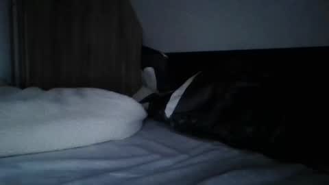 papa bear online show from 02-11-25, 09:56