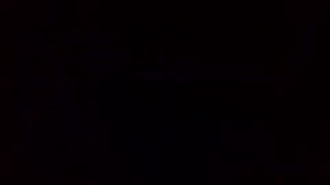 willywinkwer online show from 07-25-26, 12:14