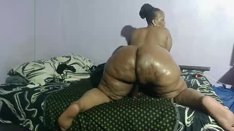 wilmaassylum online show from 01-24-25, 03:13