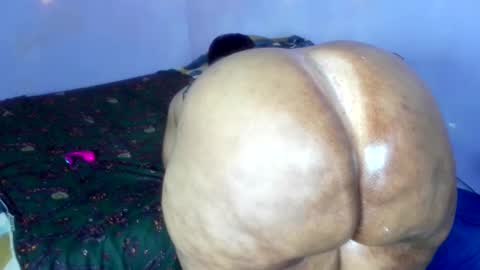 wilmaassylum online show from 12-01-25, 08:52