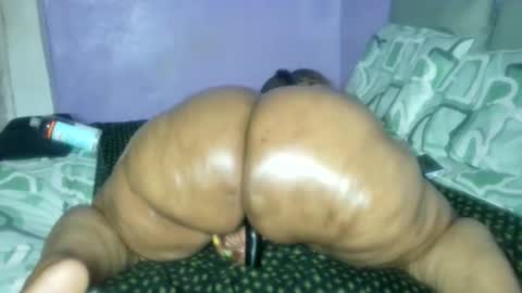 wilmaassylum online show from 02-26-26, 06:34