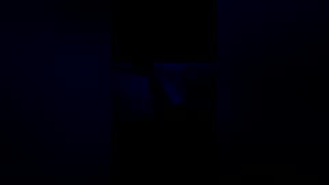 windowplug online show from 03-02-26, 12:01