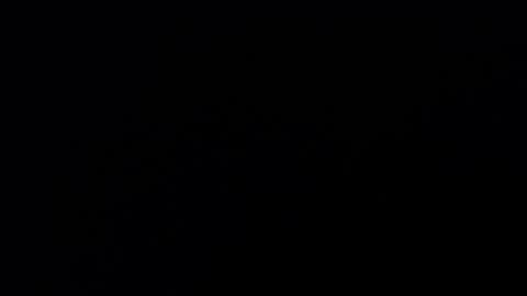 Annie online show from 02-19-25, 09:03