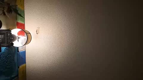 Snapshot of wizardmike421 chatting on 11-19-25, 03:06 wizardmike421 online show from 11-19-25, 03:06