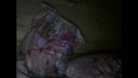 Vili online show from 04-15-26, 06:37