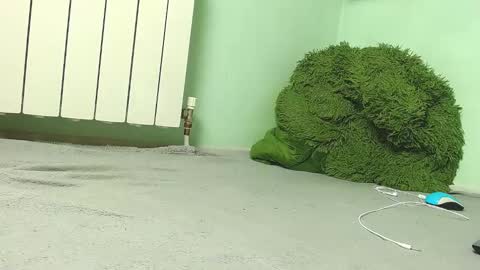 wow_devil online show from 12-27-24, 06:57