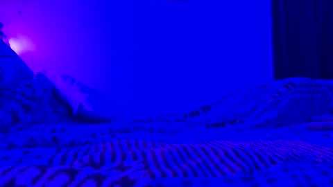 wowsers7 online show from 11-07-25, 08:03