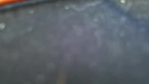 Snapshot of wrangleat0r chatting on 01-28-25, 11:50 wrangleat0r online show from 01-28-25, 11:50