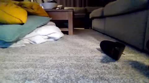 Snapshot of wyndir chatting on 11-15-25, 07:32 wyndir online show from 11-15-25, 07:32