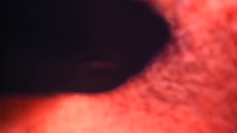 XALLYSONX online show from 02-12-25, 02:21