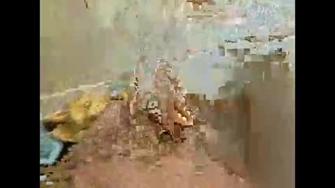 Jj880 online show from 11-27-25, 04:53