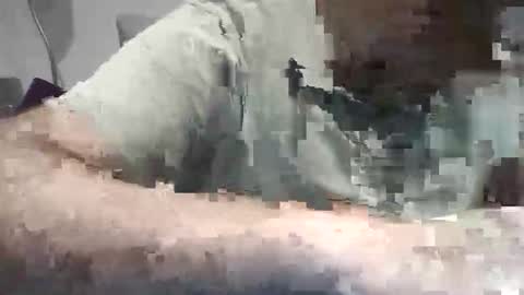 xoriso online show from 10-31-25, 06:53