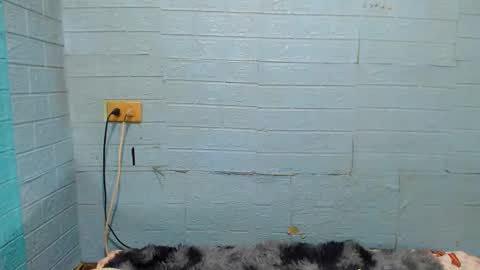 Snapshot of xsavagemistressx chatting on 01-11-25, 11:56 Ask Me Baby online show from 01-11-25, 11:56