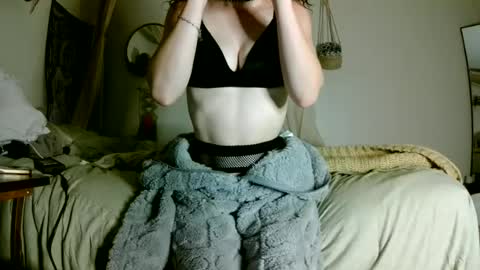 xxbreedmexx online show from 06-16-26, 12:57