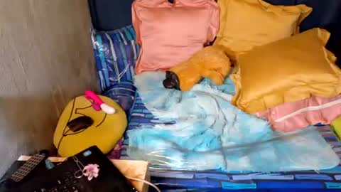 xxloveheart online show from 09-30-25, 06:29