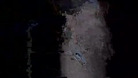 Vera online show from 01-14-26, 11:53