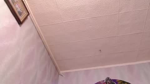 isa and gonzo online show from 12-20-24, 08:49