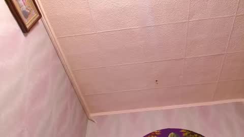 isa and gonzo online show from 02-02-25, 09:40