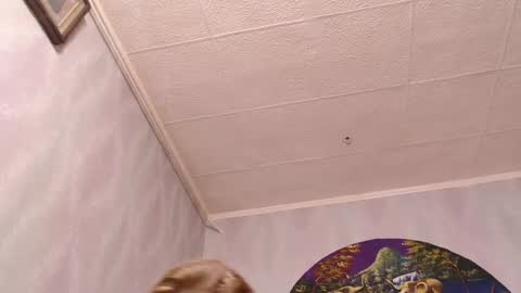 isa and gonzo online show from 03-07-25, 12:01