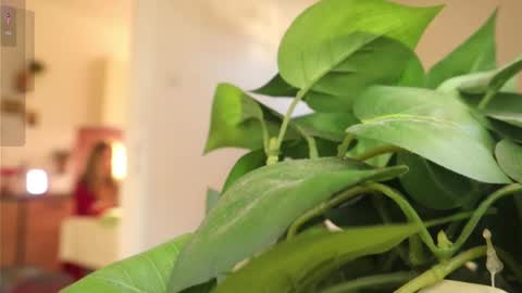 Xxxoka online show from 03-06-25, 02:08