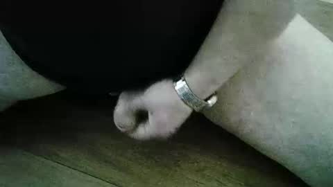 Snapshot of xyjjmop chatting on 03-02-26, 06:47 xyjjmop online show from 03-02-26, 06:47