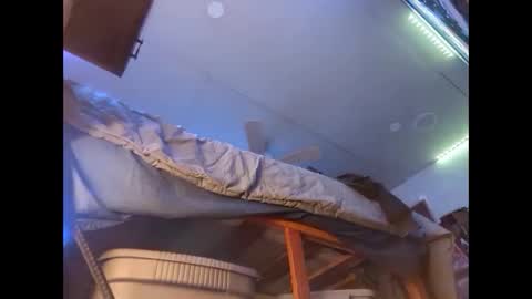 Xzbib online show from 12-12-24, 08:43