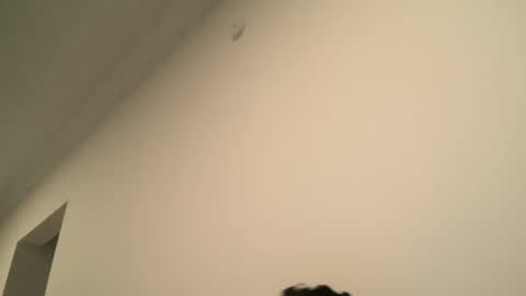 Dick  Ass online show from 02-15-25, 06:55