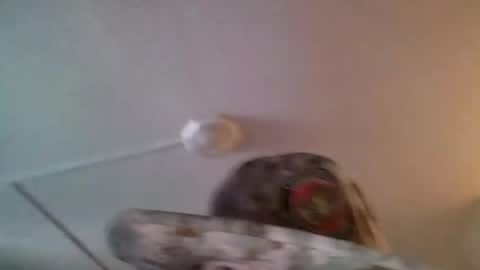 yahushuaha online show from 09-09-25, 07:13