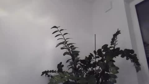 yakijoe online show from 10-22-25, 10:09