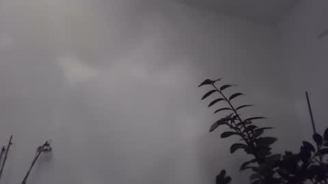 yakijoe online show from 11-06-25, 10:43