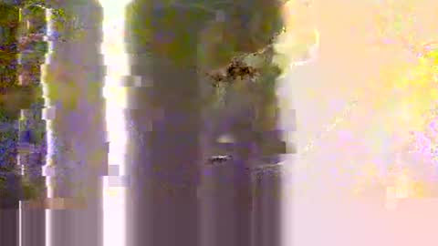 yangolox3 online show from 05-12-26, 02:30