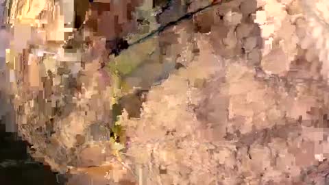 yasminfol online show from 03-01-25, 02:26