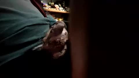 yay31 online show from 11-09-25, 12:31